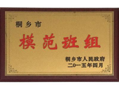 桐鄉(xiāng)市模范班組